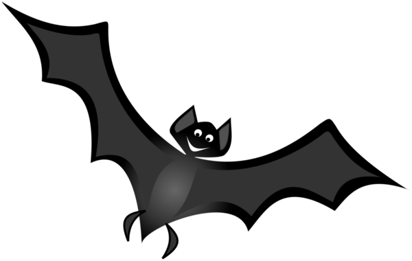 Transparent Bat Teacher Halloween Black for Halloween