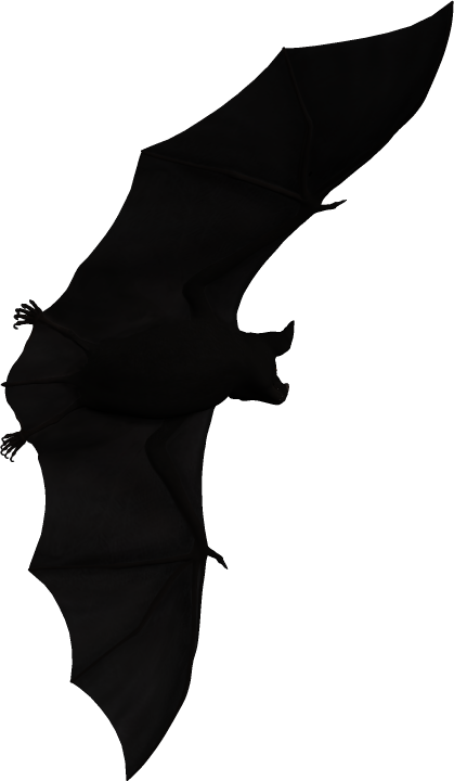 Transparent Bat Halloween Black M Black Black And White for Halloween