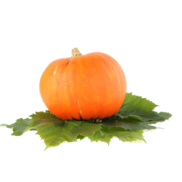 Transparent Pumpkin Jackolantern Food Vegetarian Food Gourd for Halloween