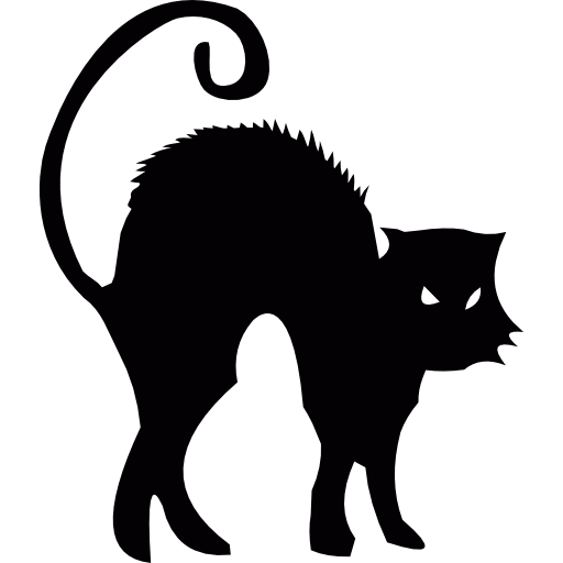 Transparent Black Cat Cat Halloween Snout Wildlife for Halloween