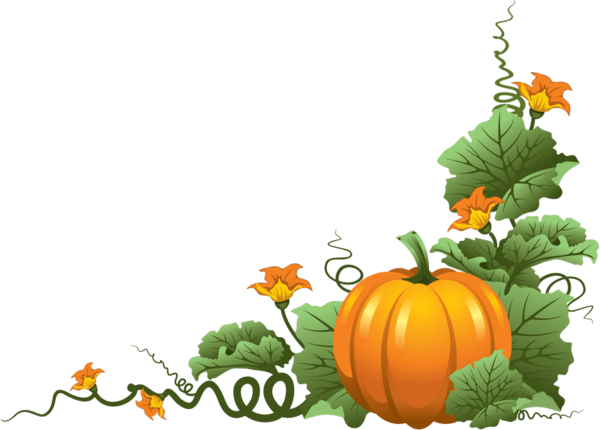 Transparent Cucurbita Maxima Pumpkin Calabaza Vegetable for Halloween