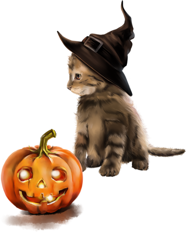 Transparent Cat Whiskers Witch Pumpkin for Halloween