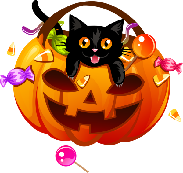 Transparent Halloween Trickortreating Witchcraft Whiskers Black Cat for Halloween