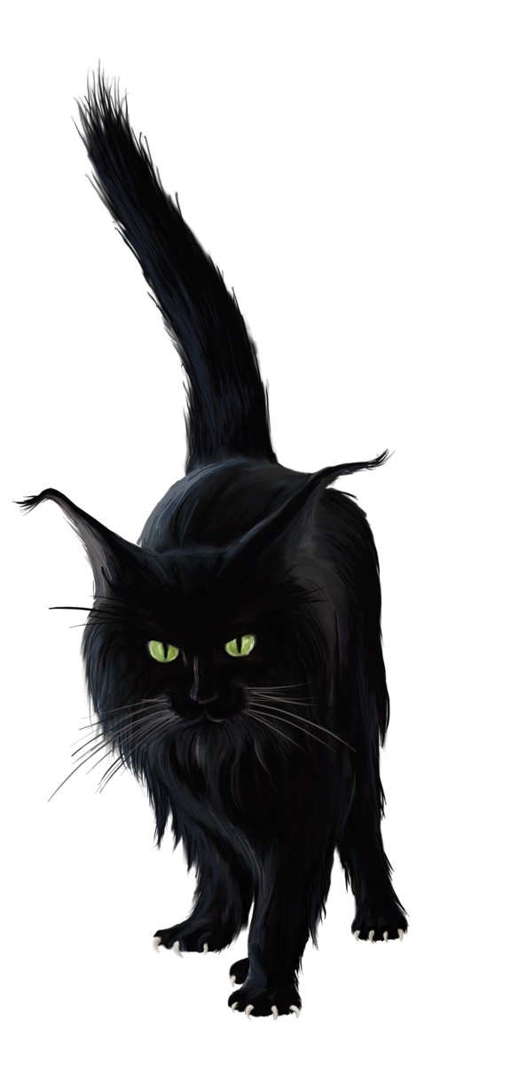 Transparent Cat Kitten Black Cat Snout Whiskers for Halloween