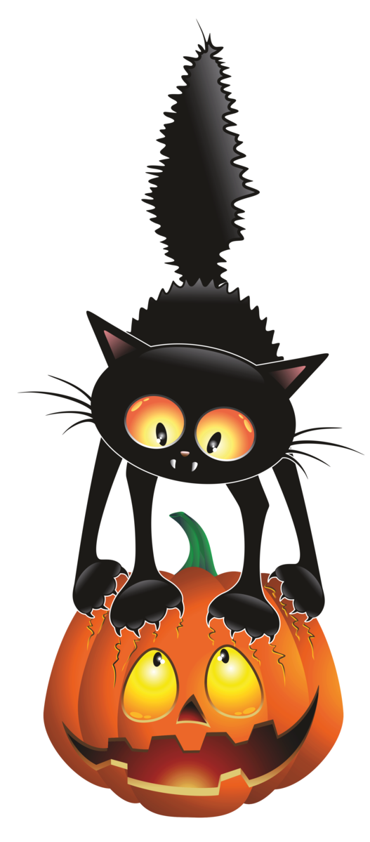 Transparent Cat Halloween Cartoon Calabaza for Halloween