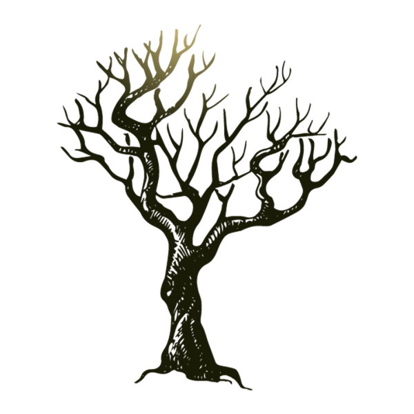 Transparent Drawing Halloween Poster Branch Tree for Halloween