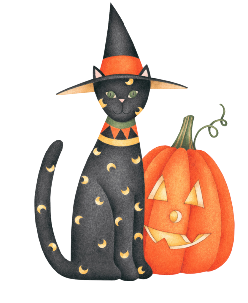 Transparent Cat Pumpkin Halloween for Halloween