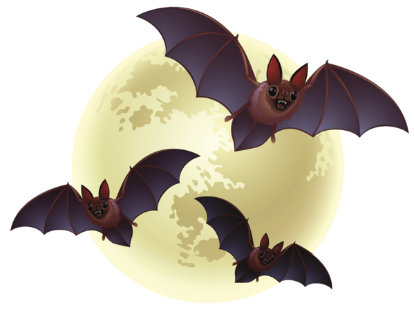Transparent Bat Halloween Halloween Costume for Halloween