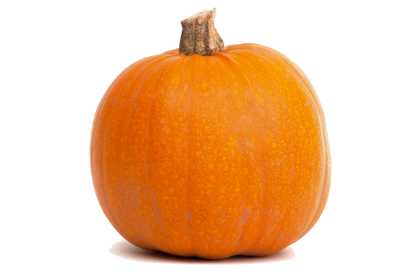 Transparent Calabaza Gourd Pumpkin for Halloween