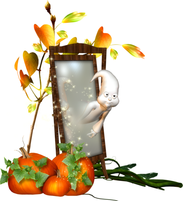 Transparent Halloween Magic Mirror Hallow Orange Flowerpot for Halloween