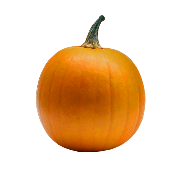 Transparent Pumpkin Gourd Winter Squash Calabaza for Halloween