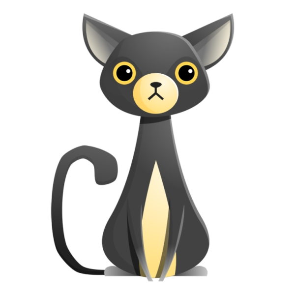 Transparent Sphynx Cat Exotic Shorthair Bombay Cat Cat Black Cat for Halloween