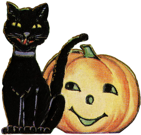 Transparent Black Cat Whiskers Cat Snout for Halloween
