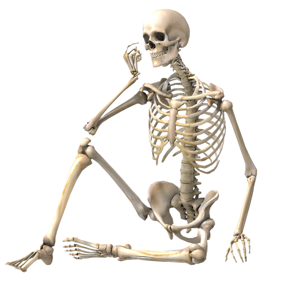 Transparent Human Skeleton Skeleton Bone Figurine for Halloween