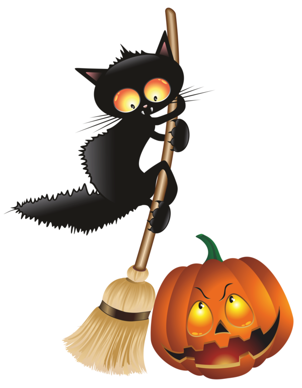 Transparent Cat Halloween Black Cat Whiskers for Halloween