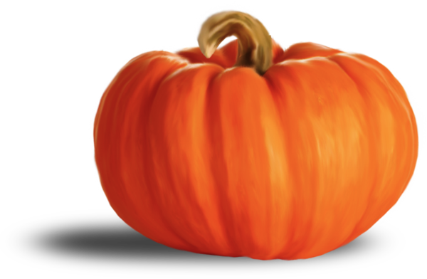 Transparent Kabocha Calabaza Pumpkin Gourd for Halloween