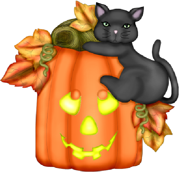 Transparent Halloween Pumpkin Animation Black Cat Cat for Halloween