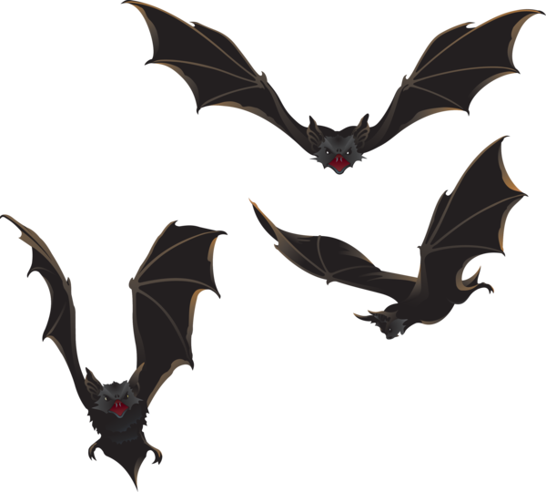 Transparent Bat Halloween Wing for Halloween