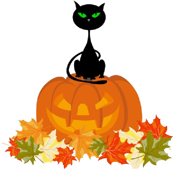 Transparent Halloween Jack Skellington Costume Cat Pumpkin for Halloween