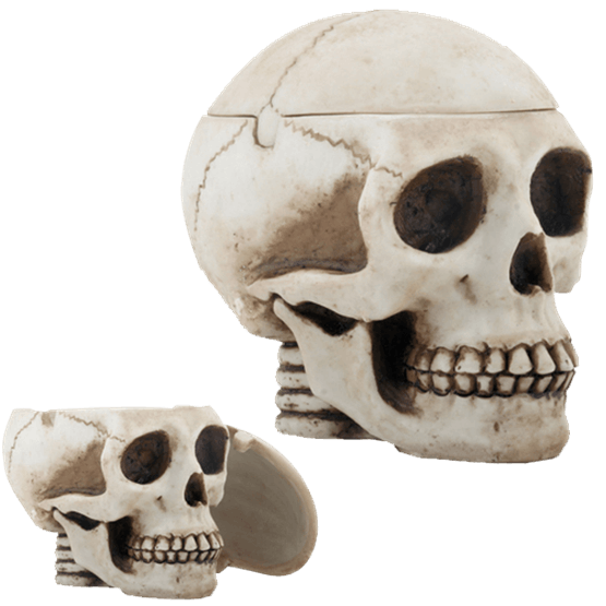 Transparent Skull Skeleton Ashtray Bone for Halloween