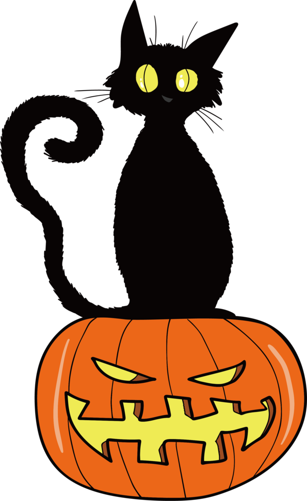Transparent Cat Black Cat Kitten Halloween for Halloween