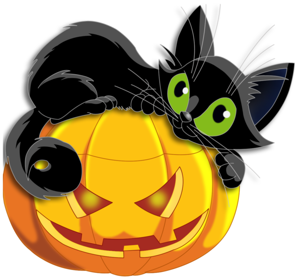Transparent Cat Halloween Black Cat Yellow Snout for Halloween