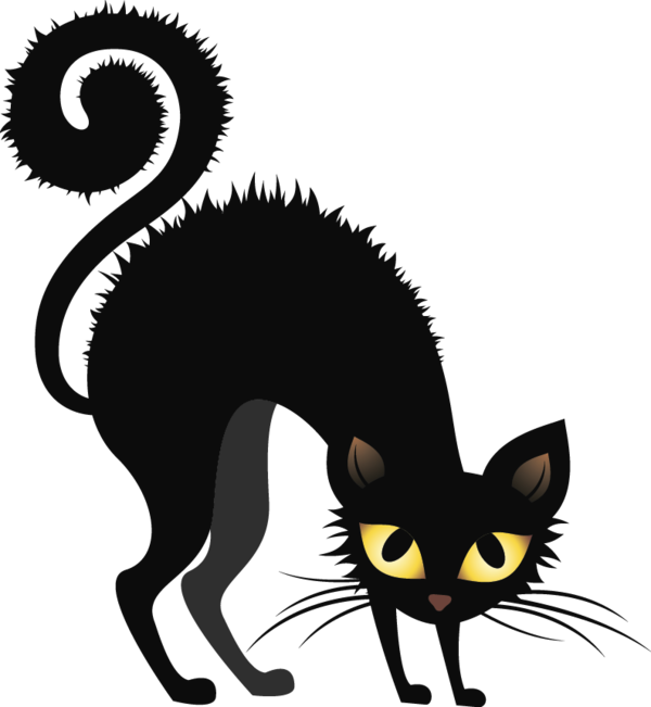 Transparent Cat Black Cat Blog for Halloween