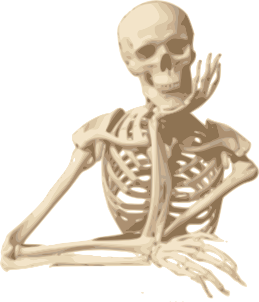 Transparent Skeleton Human Skeleton Skull Joint for Halloween