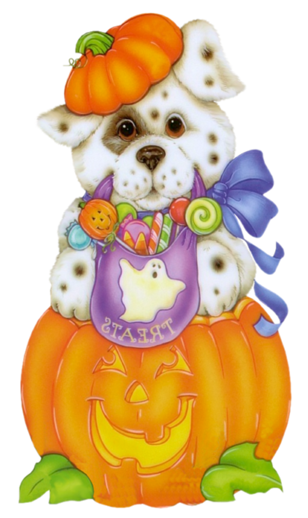 Transparent Halloween Puppy Witch Pumpkin for Halloween