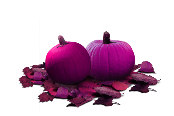 Transparent Pumpkin Halloween Squash Pink Flower for Halloween
