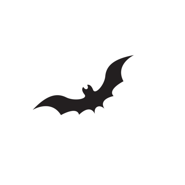 Transparent Halloween Bat Jack O Lantern Wing Design for Halloween