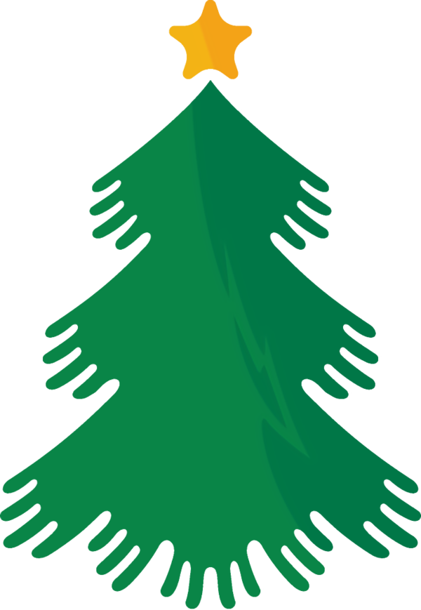 Transparent christmas Colorado spruce oregon pine Christmas tree for christmas tree for Christmas