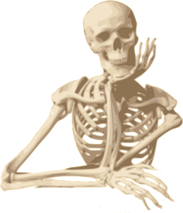Transparent Skull Human Skeleton Skeleton Jaw for Halloween