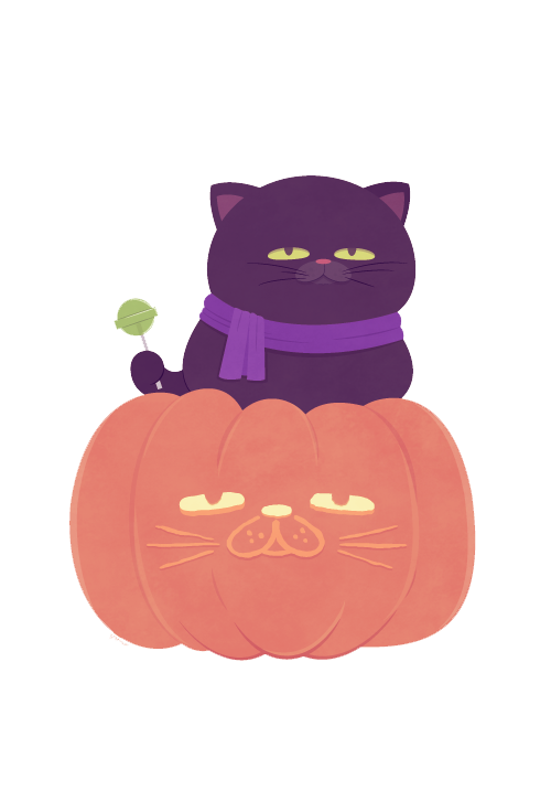 Transparent Cat Pumpkin Black Cat Pink Purple for Halloween