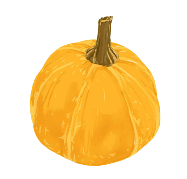 Transparent Pumpkin Kabocha Pumpkin Halloween Commodity Food for Halloween