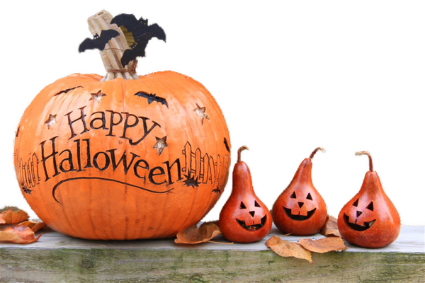 Transparent Jackolantern Halloween Pumpkin Gourd Calabaza for Halloween