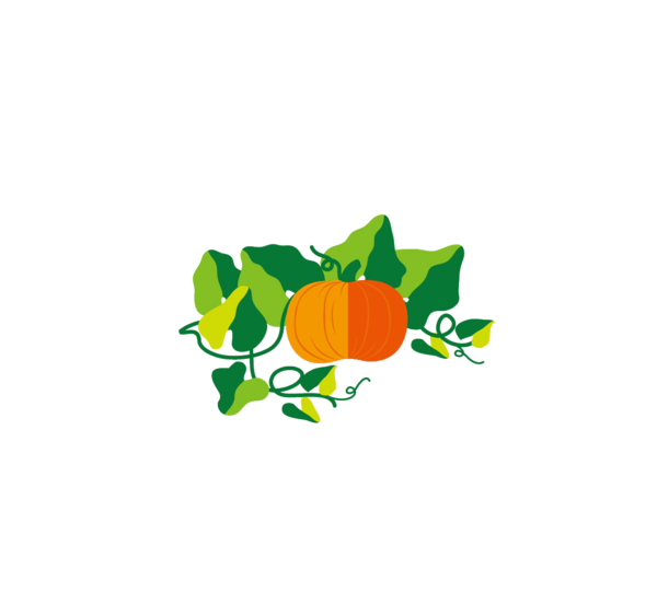Transparent Pumpkin Food Gourd Square Leaf for Halloween