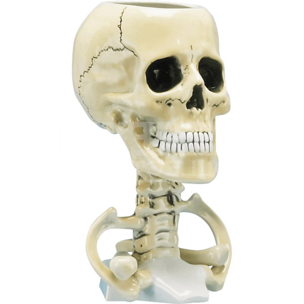 Transparent Skull Chalice Skull Cup Skeleton Bone for Halloween