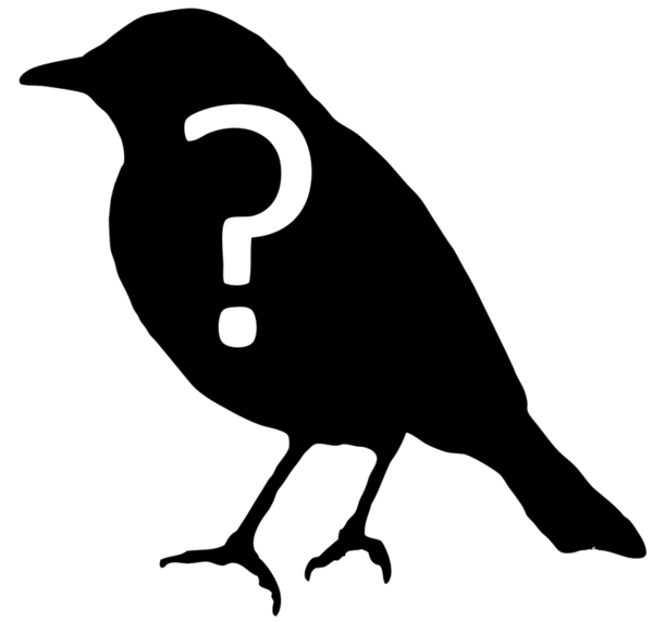 Transparent Cornell Lab Of Ornithology Bird Ornithology Beak for Halloween