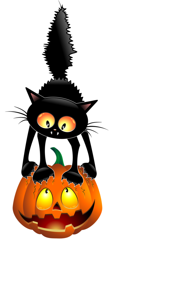Transparent Cat Pumpkin Black Cat Halloween for Halloween
