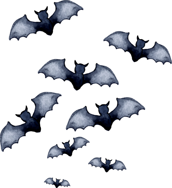 Transparent Bat Tshirt Halloween Wing for Halloween