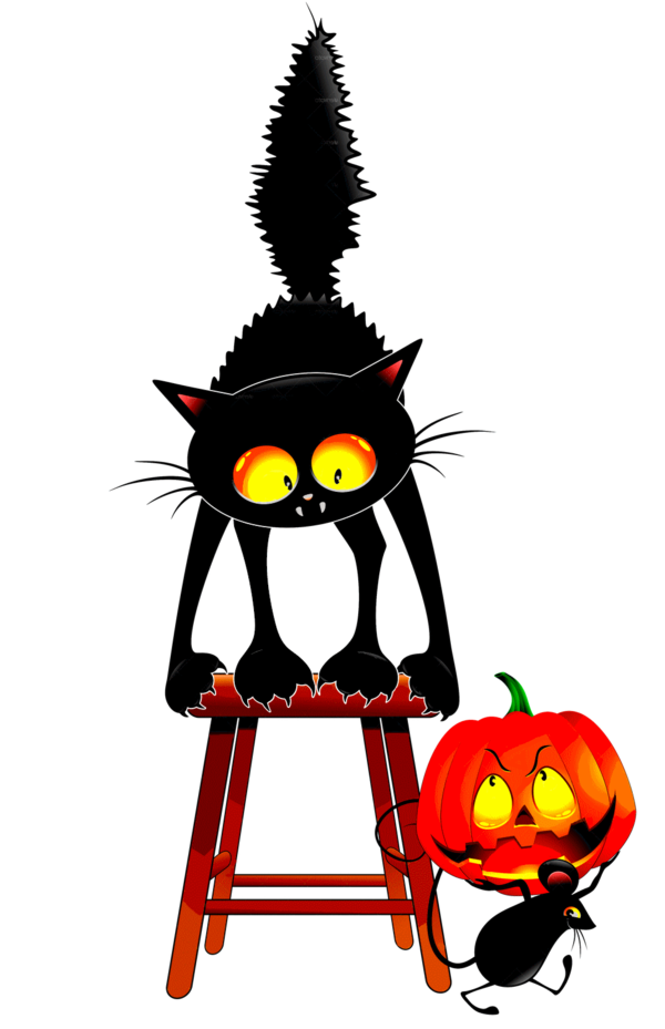 Transparent Cat Black Cat Mouse Jack O Lantern for Halloween