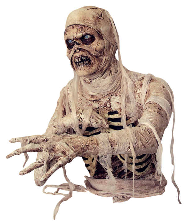 Transparent Artist Facial Hair Social Skeleton for Halloween
