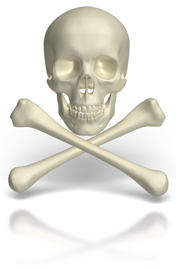 Transparent Skull Animation Skull And Crossbones Skeleton for Halloween