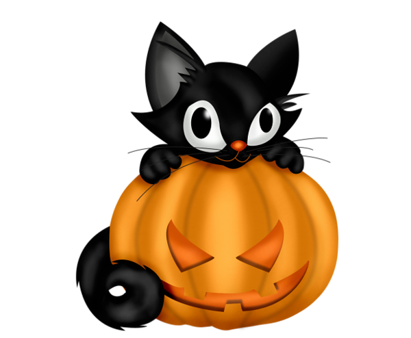 Transparent Cat Halloween Black Cat Whiskers Kitten for Halloween
