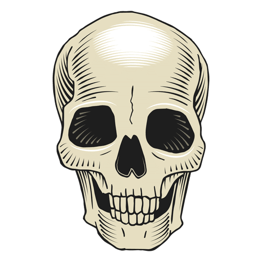 Transparent Skull Bone Drawing Head Skeleton for Halloween