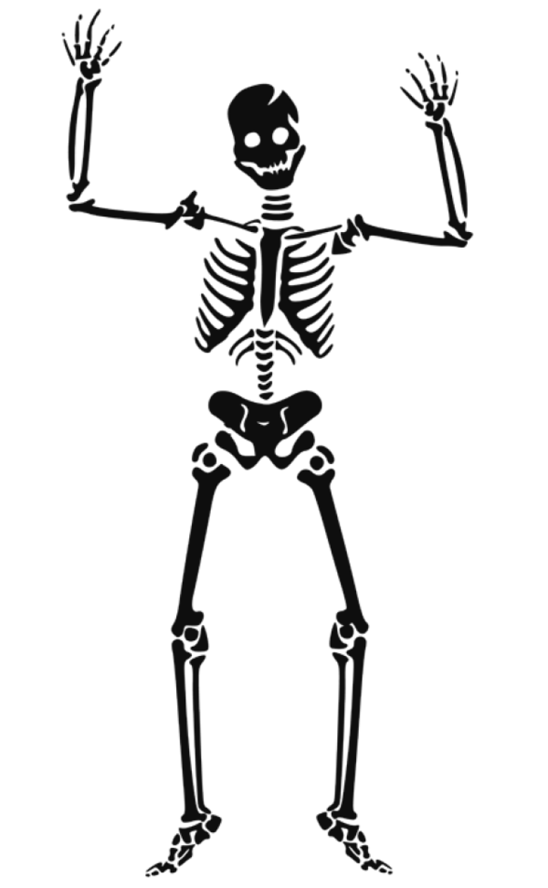 Transparent Human Skeleton Skull Skeleton Tree for Halloween