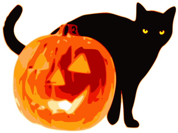 Transparent Kitten Whiskers Cat Black for Halloween
