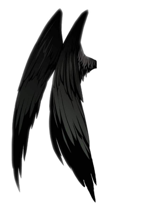 Transparent Devil Demon Angel Wing Bird for Halloween
