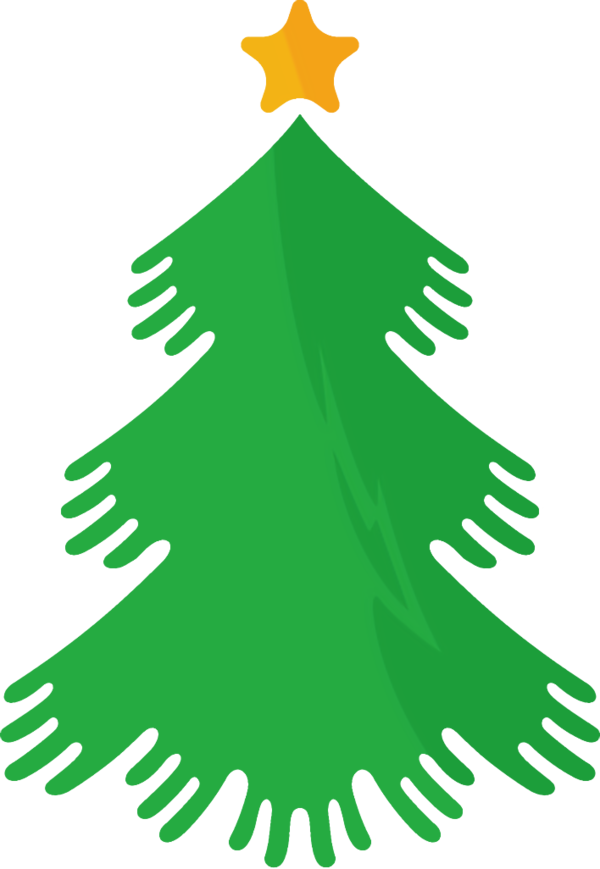 Transparent christmas Colorado spruce Green oregon pine for christmas tree for Christmas